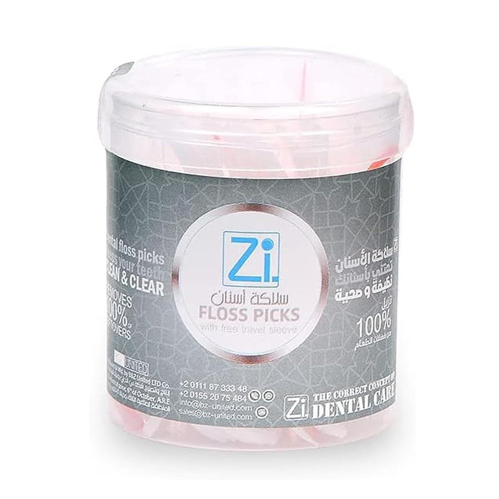 Zi Dental Floss Picks - 100 picks