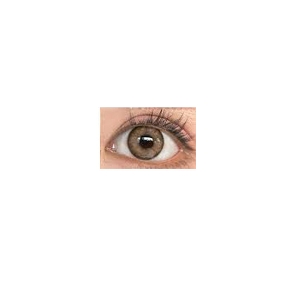 Fresh Lady Contact Lenses -Velvet brown