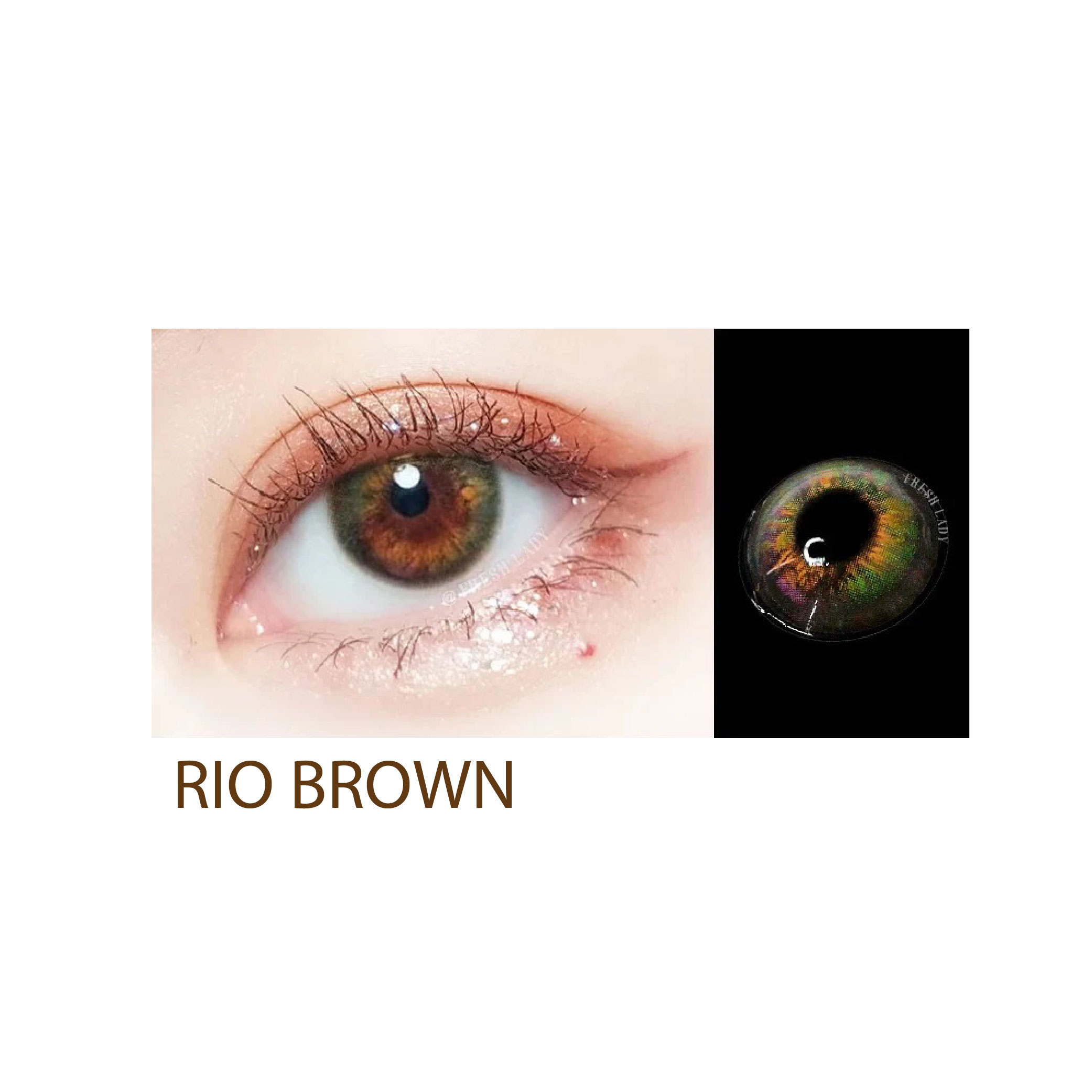 Fresh Lady Contact Lenses - Rio Brown