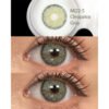 Fresh Lady Contact Lenses - Cleopatra Gray