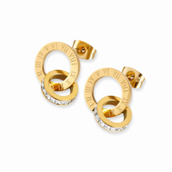 Stainless Steel Earrings - Two Circles