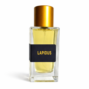 Nasaem Perfume Lapidus for Men- 50ml