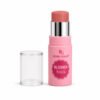 Rose Gold Blusher Stick - 03